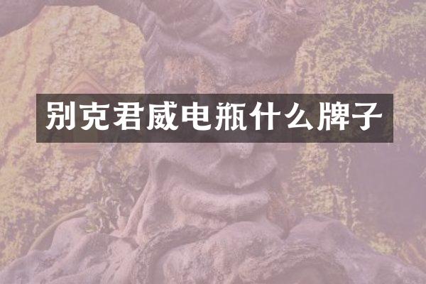 别克君威电瓶什么牌子