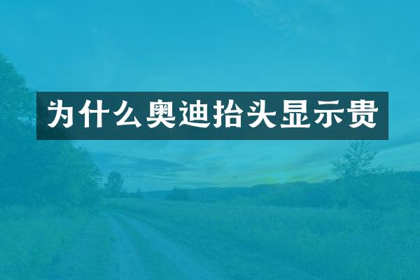 为什么奥迪抬头显示贵