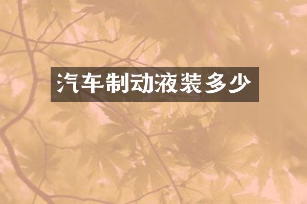 汽车制动液装多少