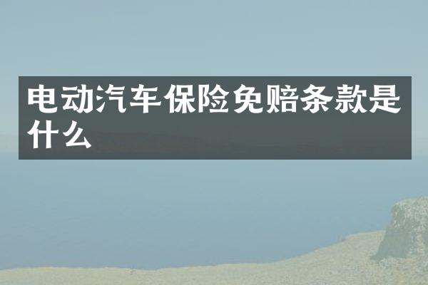 电动汽车保险免赔条款是什么