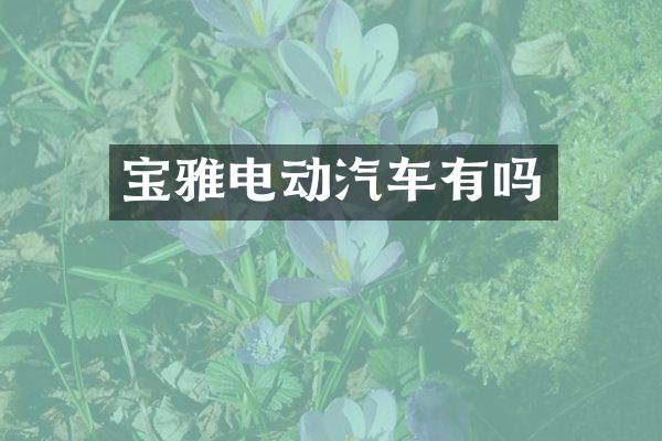 宝雅电动汽车有吗