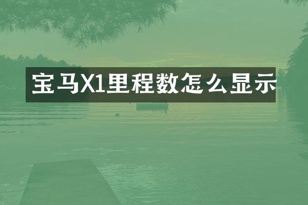 宝马X1里程数怎么显示