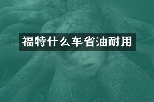福特什么车省油耐用