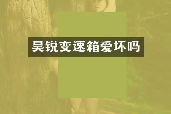 昊锐变速箱爱坏吗
