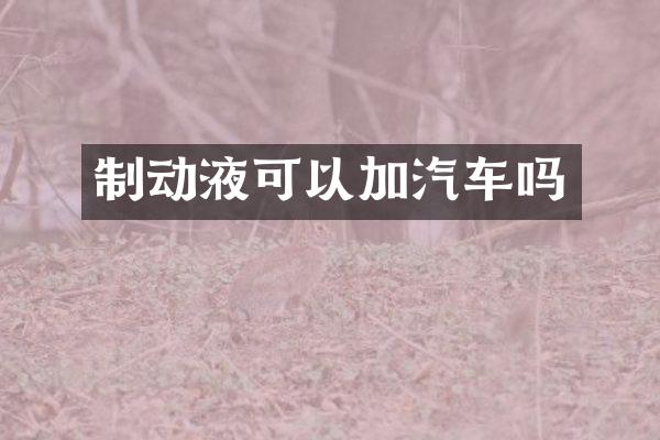 制动液可以加汽车吗