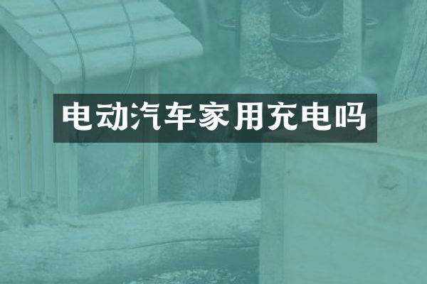 电动汽车家用充电吗