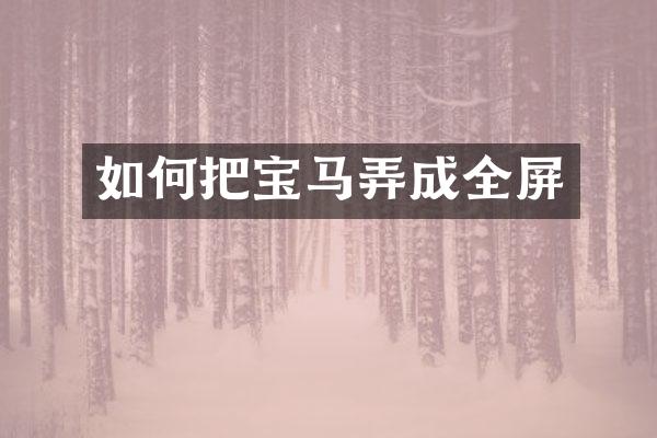 如何把宝马弄成全屏