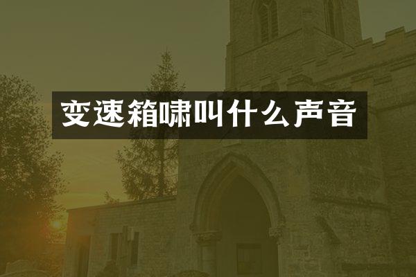 变速箱啸叫什么声音