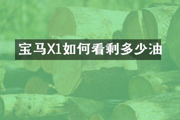 宝马X1如何看剩多少油