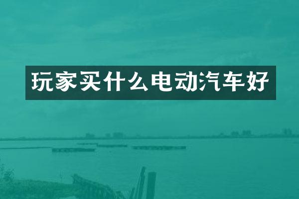 玩家电动汽车好