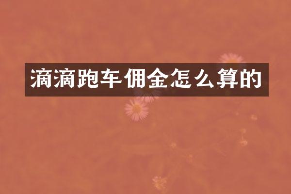 滴滴跑车佣金怎么算的
