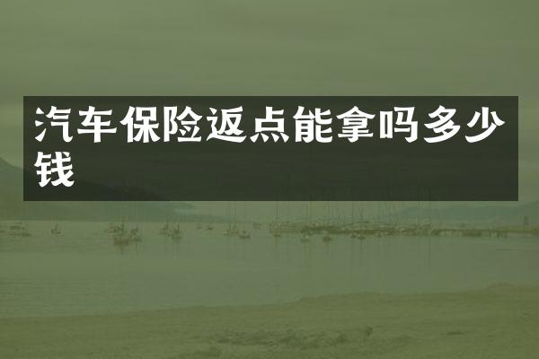 汽车保险返点能拿吗多少钱