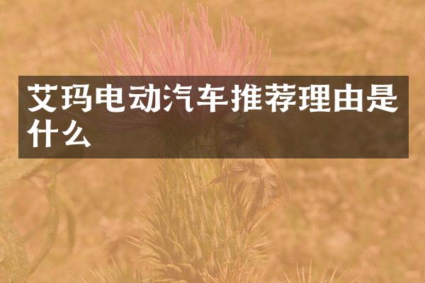 艾玛电动汽车推荐理由是什么