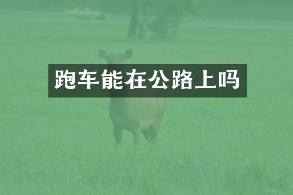 跑车能在公路上吗