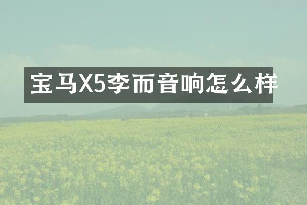 宝马X5李而音响怎么样