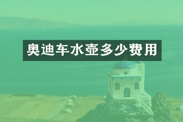 奥迪车水壶多少费用