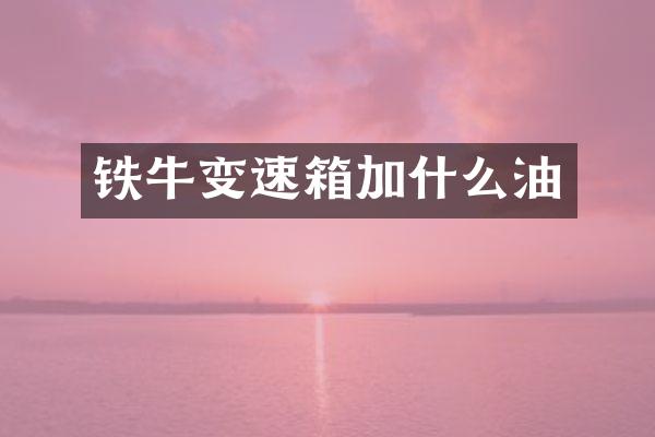 铁牛变速箱加什么油