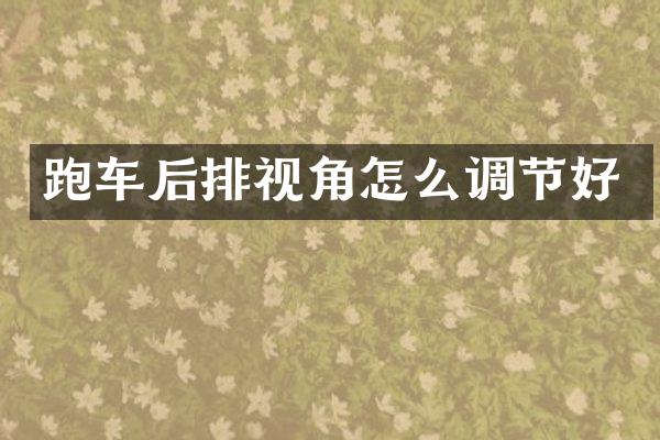 跑车后排视角怎么调节好