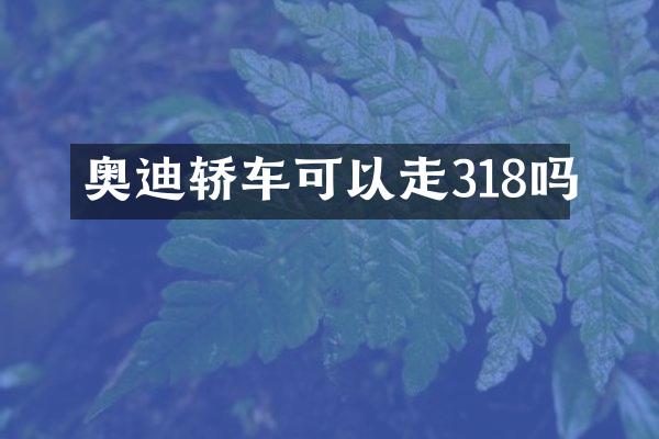 奥迪轿车可以走318吗