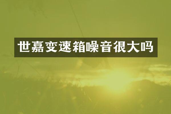 世嘉变速箱噪音很大吗