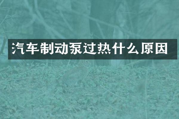汽车制动泵过热什么原因