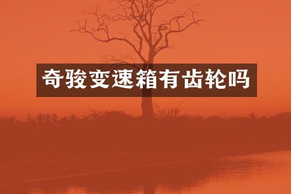 奇骏变速箱有齿轮吗
