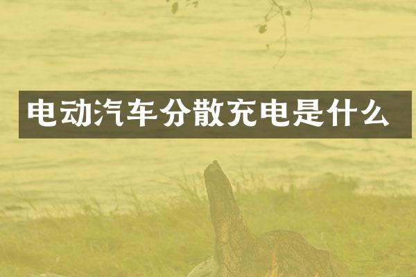 电动汽车分散充电是什么