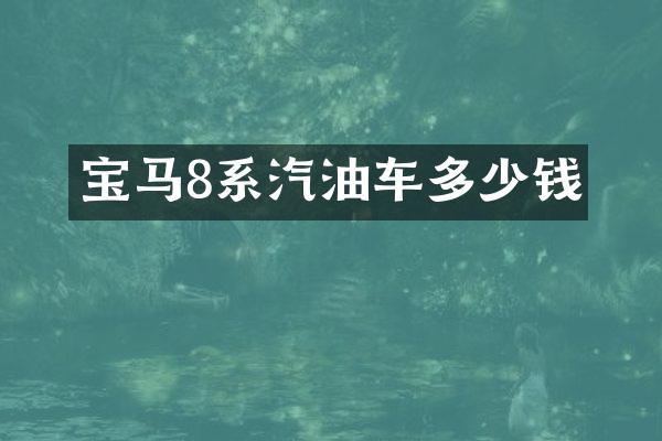 宝马8系汽油车多少钱