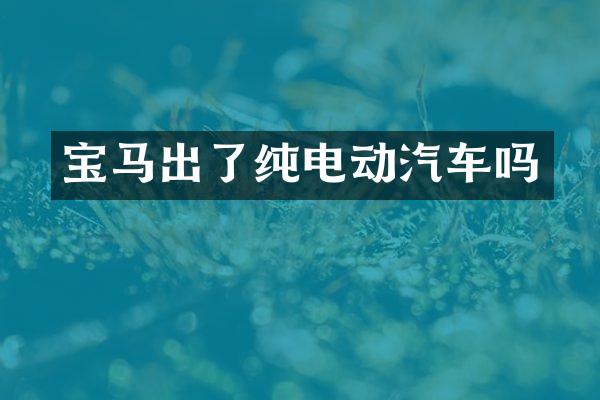 宝马出了纯电动汽车吗