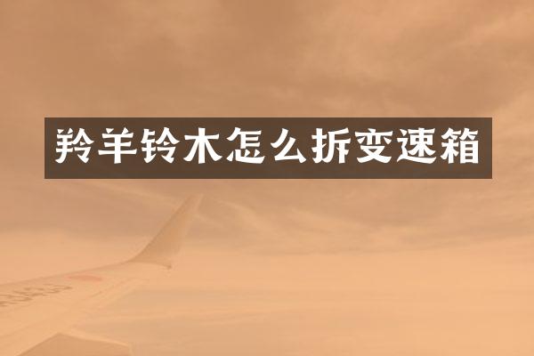 羚羊铃木怎么拆变速箱