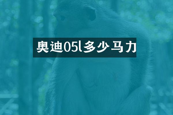 奥迪05l多少马力