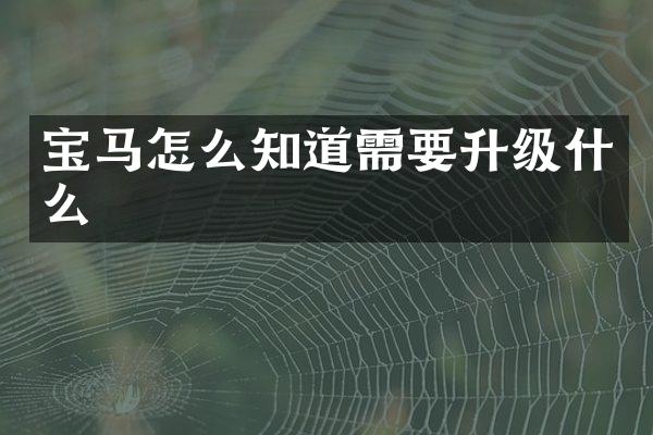 宝马怎么知道需要升级什么