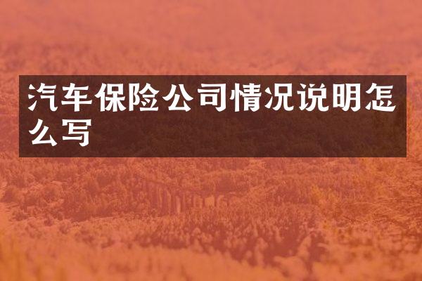 汽车保险公司情况说明怎么写