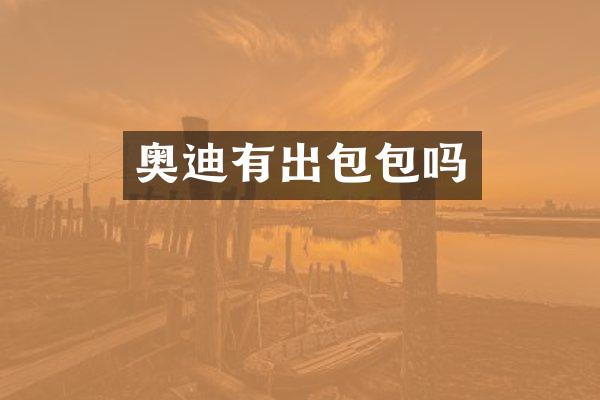 奥迪有出包包吗