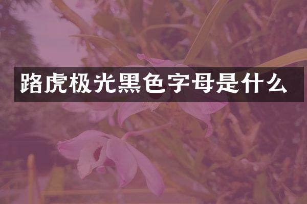 路虎极光黑色字母是什么