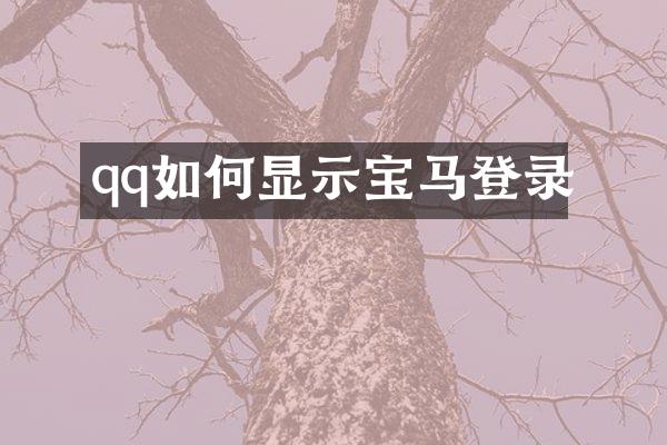 qq如何显示宝马登录