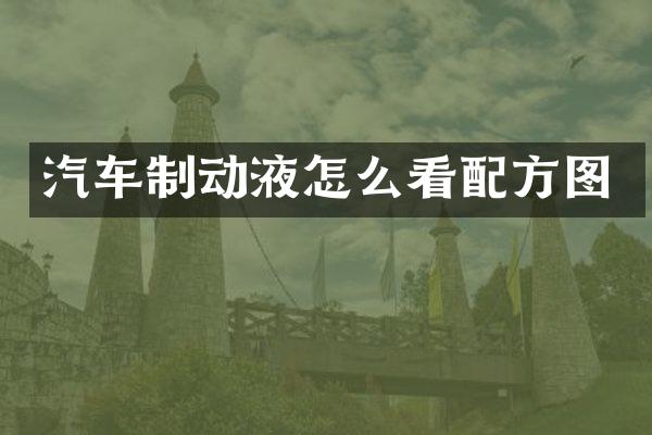 汽车制动液怎么看图