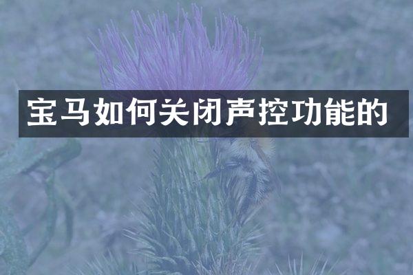 宝马如何关闭声控功能的