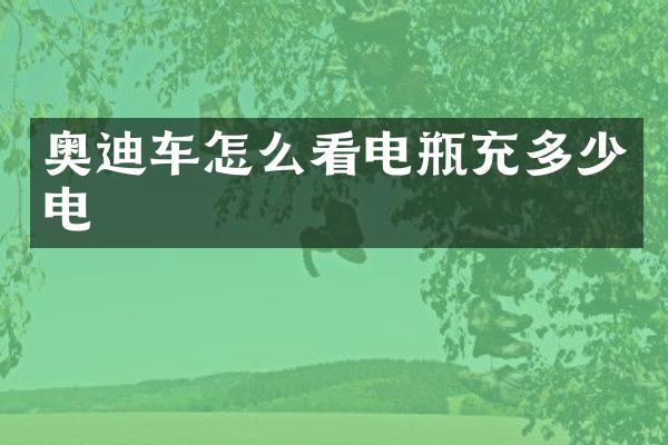 奥迪车怎么看电瓶充多少电