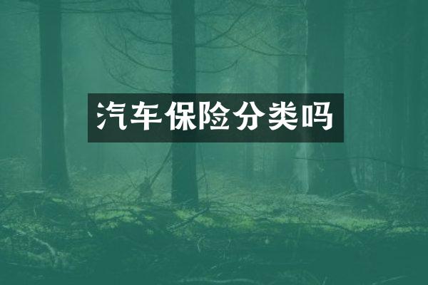 汽车保险分类吗