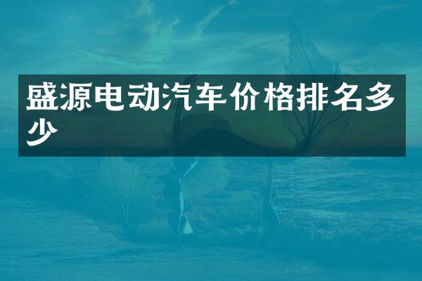 盛源电动汽车价格排名多少