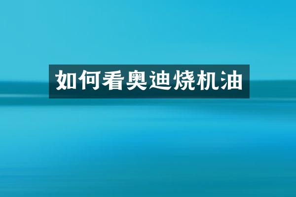 如何看奥迪烧机油