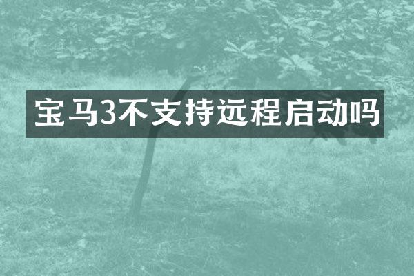 宝马3不支持远程启动吗