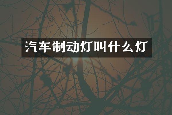 汽车制动灯叫什么灯