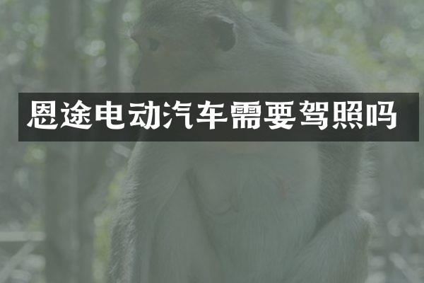 恩途电动汽车需要驾照吗