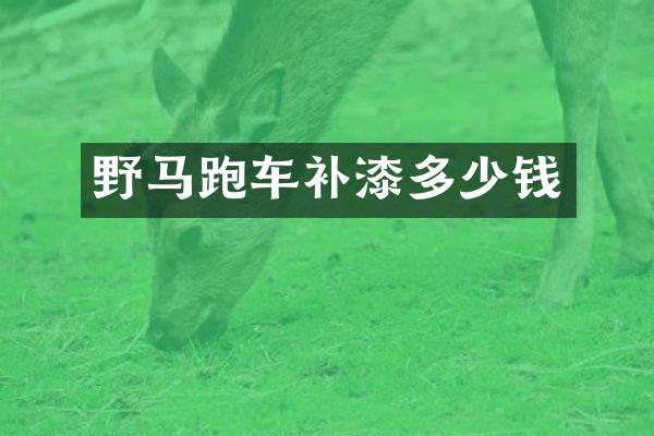 野马跑车补漆多少钱