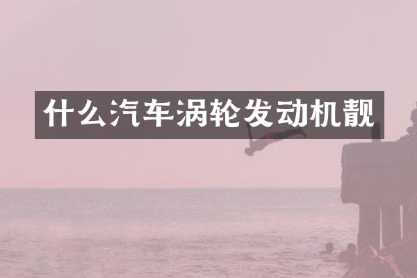 什么汽车涡轮发动机靓