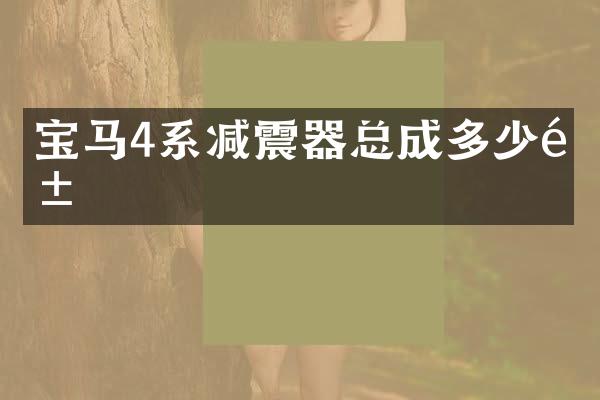 宝马4系减震器总成多少钱