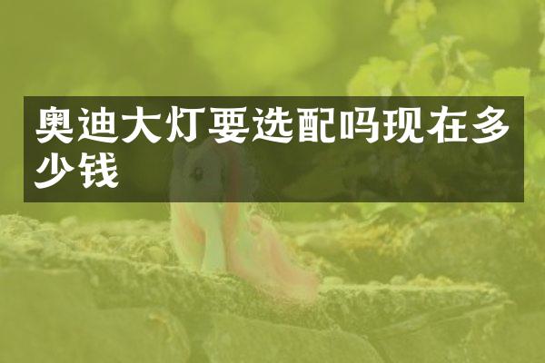 奥迪大灯要选配吗现在多少钱