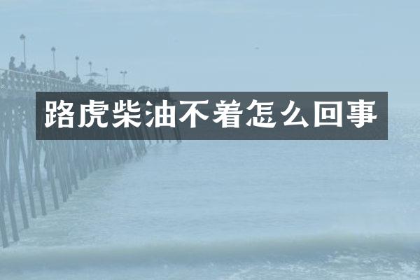 路虎柴油不着怎么回事